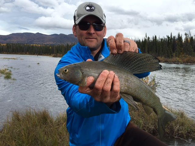 Dalton Trail Lodge, Yukon fly fishing for lake trout, pike, grayling and  rainbow trout