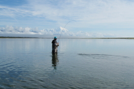 Fly fishing in a beautiful surrounding