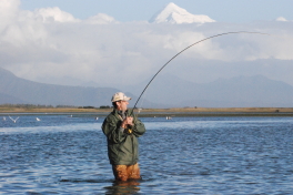 Hooked into a Silver Salmon