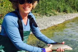 Beautiful Grayling